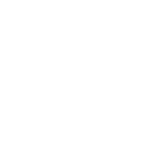 AI in the Public Sector